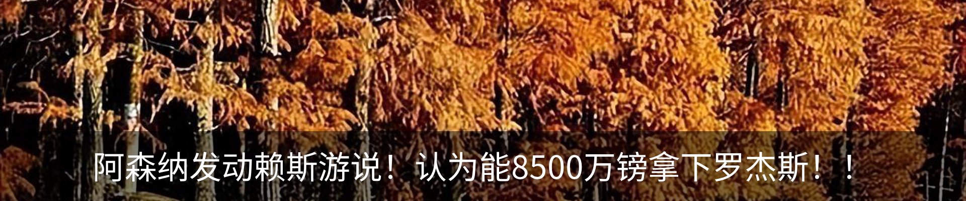 新闻中心